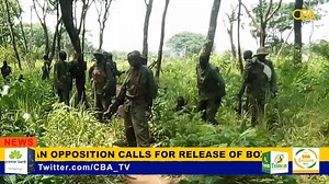 South Sudan Army begins fresh offensives in Kajo-Keji County | CBA