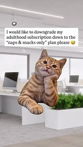 Sounds like the perfect plan 😂 This is why meme pages grow faster than personal brands. This is for people who are tired, not ambitious. I break this down step-by-step in The Meme Effect. Comment ‘MEME’ to learn more. You’re already spending time on Instagram. You might as well get paid for it 😉 #memes #memesdaily #funnymemes #fyp #reels #funnyworkmemes | Your.meme.bestie