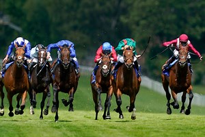 Horse racing analysis: Timeform's top-middle distance horses of 2022