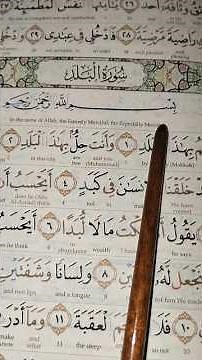 Surah Al Balad | #surahbalad #islamicshorts #quranrecitation #makkah #juz30