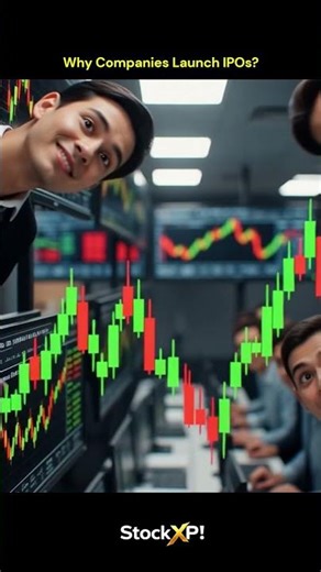 Do You Know When a Company Launches Its IPO? 🤔