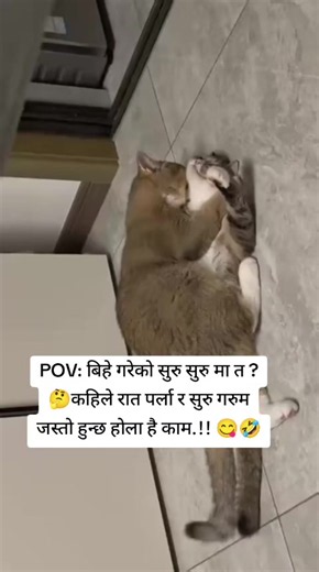 Go Viral with FYP Strategies, Top Tips for Viral TikToks #fyp #Trending #tiktoktips #contenthacks #fypシ゚viral__ 😋🤣