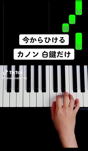 弾けるカノン 白鍵だけの簡単ピアノ曲