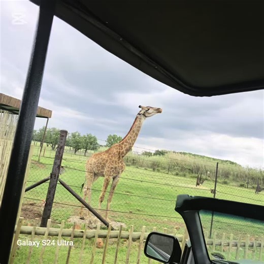 POV: game drive with friends. #fyp>° #fypp #fypppppppppppppppppppppp #