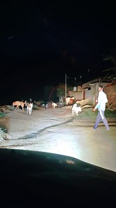 984K views · 9.5K reactions | Scary Village Road Viral Video | अंधेरा होते ही भूतिया गांव में नाचने लग गए भूत | Yeh Kya Tha #horror #scary #newfacebookvideo #viral #JassiSandhu #yekyatha | Jassi Sandhu Vlogs | Facebook