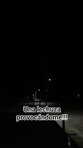 Una lechuza me vino a cantar, y su novio el tecolote se encelo!! #lechuzas #Tecolotes #miedo #terror #brujas | Arriba Mi Zacatecas