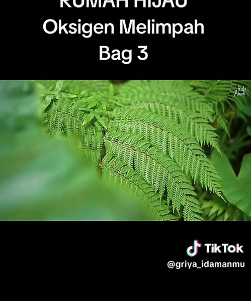 follow kami untuk inspirasi Griya idamanmu source : YT RIZKI ABADI #rumahtype36 #homedecor #rumahpintar #interiordesign #rumahkeren #interiorunik