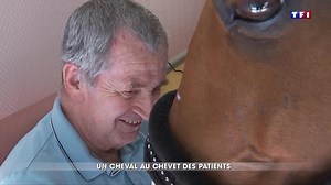 Peyo, un cheval au chevet des patients