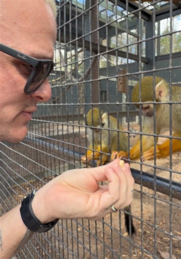 Explore BeeCity Zoo: A Walk with Animals