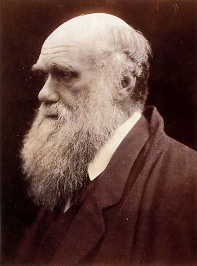Charles Darwin: biografia, importância, teoria - Biologia Net