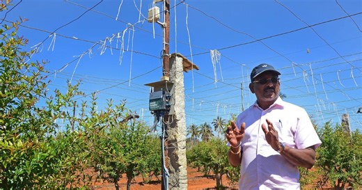 AI starts to help India's struggling farms | New Straits Times