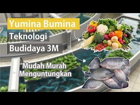 Mengenal Budidaya Yumina Bumina, Budidaya Ikan Sekaligus Berkebun I Dijamin Hemat Air dan Lahan