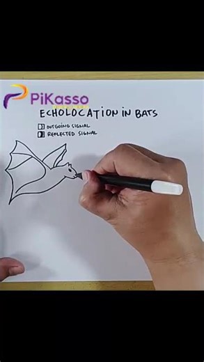 How to Draw Bat Echolocation Diagram in Less Than One Minutes