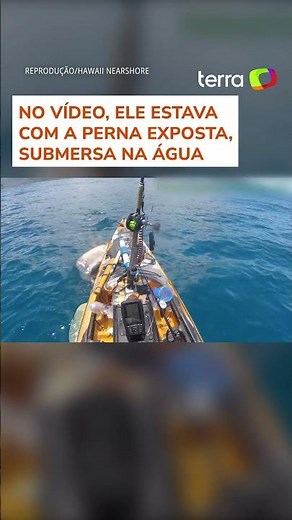 Tubarão-tigre ataca caiaque de pescador no Havaí