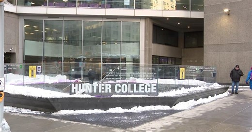 Hunter College professor's controversial remarks caught during Zoom meeting