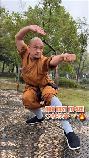 Lightning Hands⚡Shaolin Kung Fu Strikes Like Fire (少林拳)