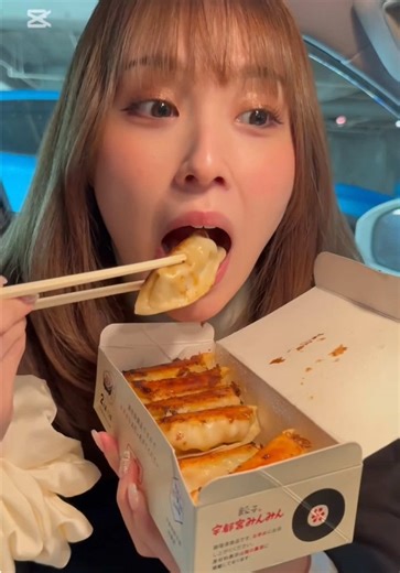 宇都宮餃子の特徴と普通の餃子の違い