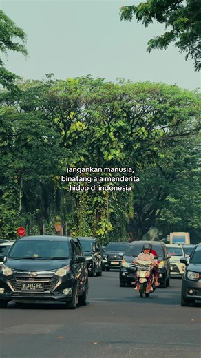 Lyrics Music (@for_you_page123)’s videos with suara asli - 𝕸𝖚𝖘𝖎𝖐 𝕻𝖆𝖕𝖆 - 𝕻𝖆𝖕𝖆_𝕭𝖔𝐲