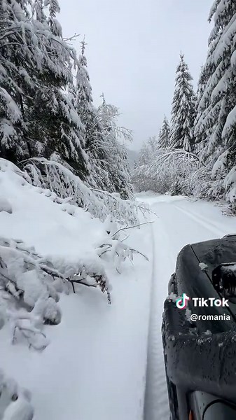Winter Driving Adventure in Romania's Carpathians
