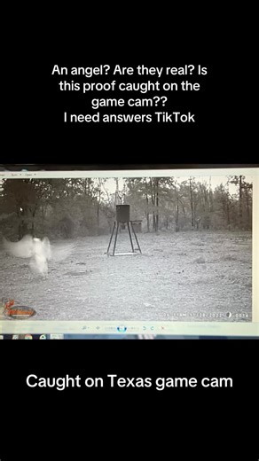 Are angels real—and could this photo be evidence of something beyond our understanding? I’ve gone back and forth on whether angels truly exist or if they’re just symbolic ideas passed down through faith, stories, and human hope. But sometimes a moment freezes in time and makes you pause. This photo was taken in a quiet, ordinary place—no editing, no staging, no attempt to capture anything unusual. Yet what appears in the image doesn’t feel ordinary at all. It looks like movement without form, li