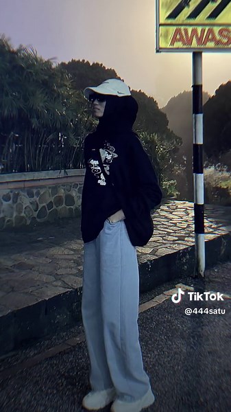 Understanding Pedestrian Safety Signals: An Overview