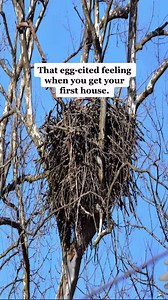 74 reactions · 4 comments | That’s a lot of insurance to manage by yourself, friend. Let a Trusted Choice Independent Insurance Agent guide you through the research, coverage, pricing, and claims - at no extra cost to you. | Trusted Choice | Facebook