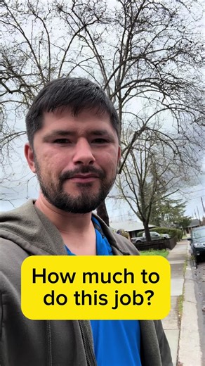 Tree Removal Options: Crane vs Bucket Truck