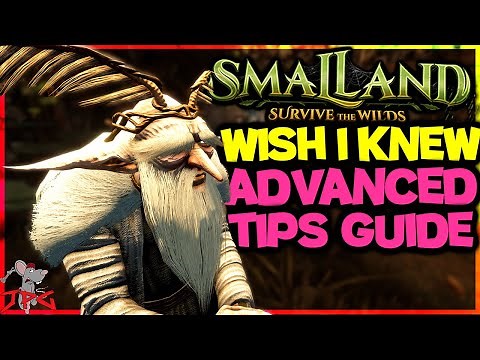 SMALLAND Advanced Tips Guide - Wish I Knew Sooner About Smalland: Survive The Wilds