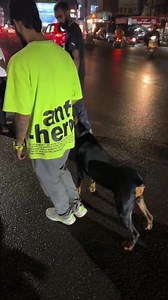 9.8K views · 174 reactions | Yoko the Doberman obedience Offleash training #monomarkk_9 #doberman #dogsofinstagram #obediencetraining #offleash #dogoftheday #dogtraining #dogtrainer | Vyshak Velayudhan | Facebook