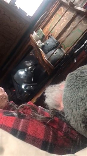 Charging old batteries 🪫 up! The late Brucy Pipes, (contains strong language) thanks to anon for sending in. | Romany Heritage