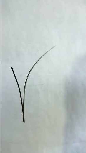 how to write Gamma in math #shorts #math #iit #mathematician #mathematics #viral #gamma