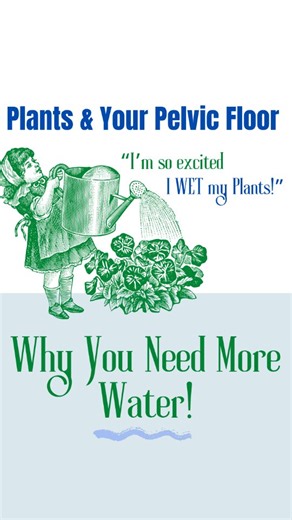 Dr. Lindsay| Performance & Pelvic Health Physical Therapist on Instagram: "Come with me as I wet my plants...and talk pelvic floor! Did you know that if you have urinary urgency, frequency, or leakage, your bladder might need MORE water not less. Concentrated urine irritates the lining of the bladder. This translates to signals being sent to the brain basically saying "get rid of this stuff! NOW!" Of course, this helpful hint doesn't mean all of your pelvic floor symptoms will go away miraculous