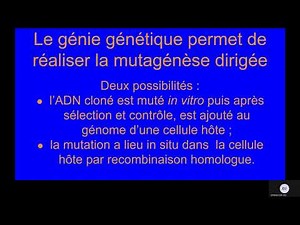 Cours mutagénèse 1 sur 2