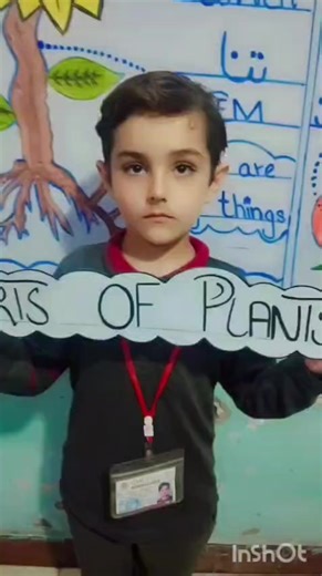 City Model College And School (@cmcschool)’s videos with original sound - City Model College And School