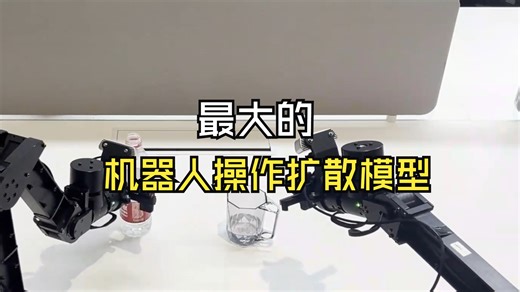 可倒水，懂调酒，能遛狗！清华重磅开源RDT-1B：最大的机器人操作扩散模型
