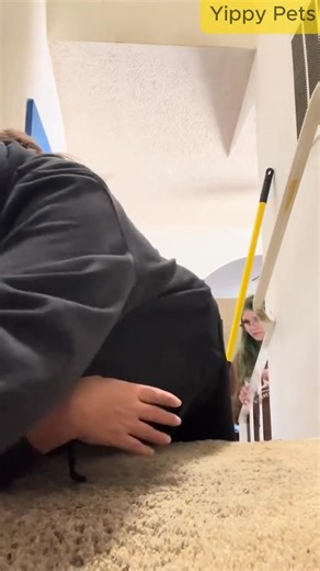  BACK IN STOCK ALERT!  ✅ Quick & Easy Fur Removal: Special soft...