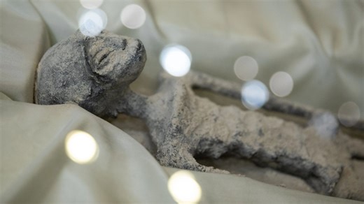 Bizarre ‘intact alien mummies' have '30% unknown DNA’ expert claims