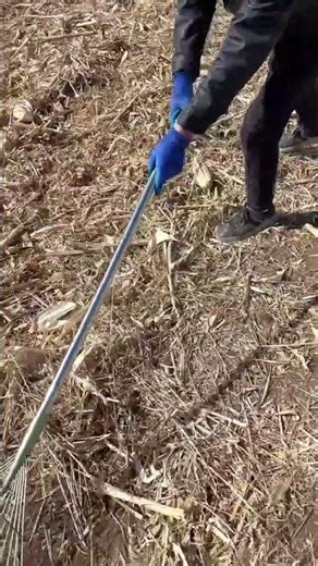 The Last Rake You’ll Ever Need? 🍂