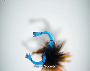 All your questions will be answered At the right time ❤️🦚 | Meme Society