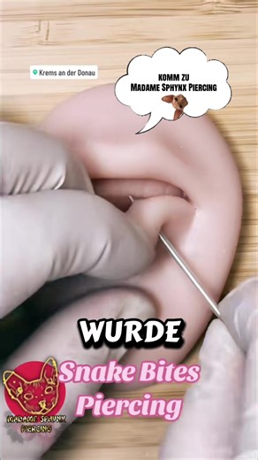 Snake Bites Piercing #piercing #trend #fyp #piercingstudio #snakebite
