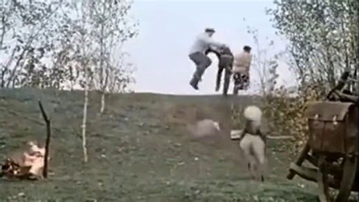 FUNNY VIDEO Their initial intention was to catch fish using explosives, see what happens next?