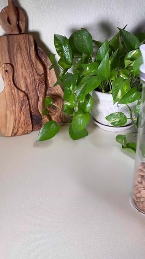 1.5K views · 35 reactions | Random restock asmr #asmr #organized #refill #restock #refillrestock #restockasmr #organize | Hallie | Facebook