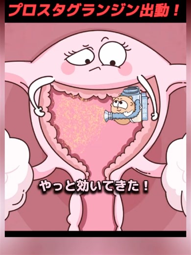 生理の混乱プロスタグランジン出動 妊娠から未来へ母と赤ちゃんの旅 (2)
