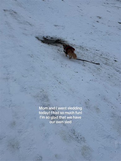 Kim_adventures_1980 (@kim_adventure_1980)’s videos with Issa Snow Day - Nick Kosir