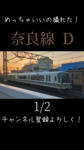 【京都の旅】夕方の奈良線がめっちゃ綺麗過ぎた！ #旅 #京都府京都市 #奈良線 #shorts