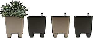Selfwatering Mini Square Planters 4-Pack with Water Level Indicator for African Violets, Small House Plants