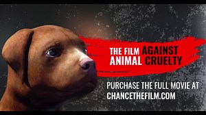 1.6M views · 10K reactions | Enjoy a sneak preview of CHANCE with...