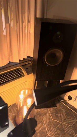 New AudioNote anniversary model OTO 35 #loudspeakers #audiophile