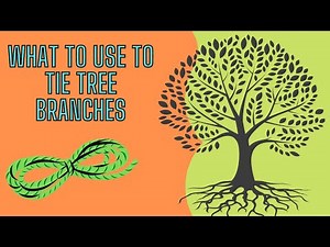 What To Use To Tie Tree Branches