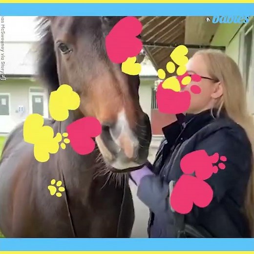 Horse pulls owner in for an adorable hug l GMA